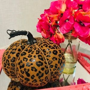 🆕Robert Stanley Cheetah Patterend Pumpkin-NWT